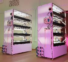 СТЕЛЛАЖНЫЙ МОДУЛЬ “Сити-Фермер Выращивание”